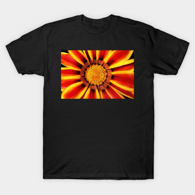 Sunshine Stripes T-Shirt by SharonJ